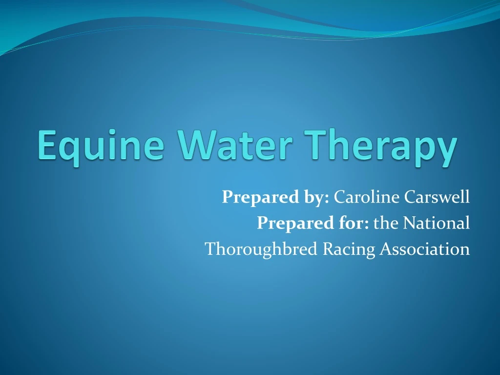 equine water therapy