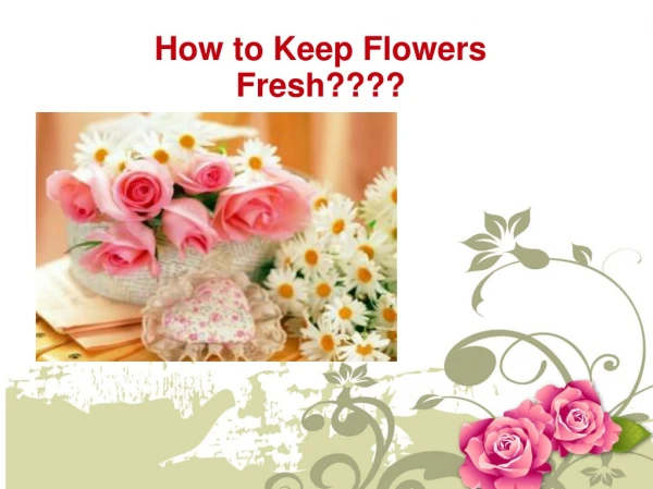 How to Keep Flowers Fresh????