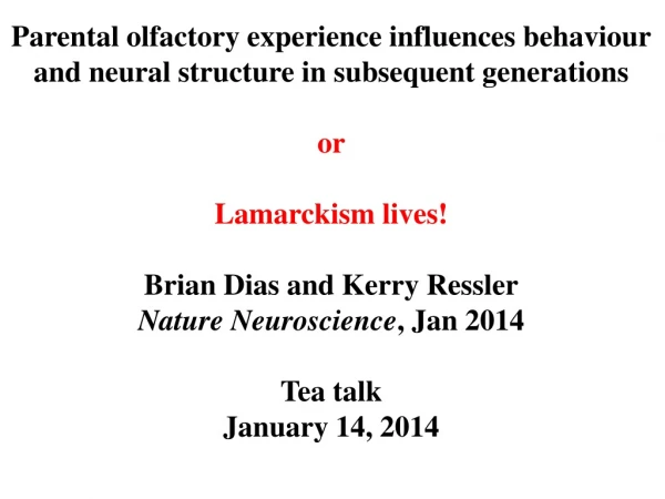 Parental olfactory experience influences behaviour