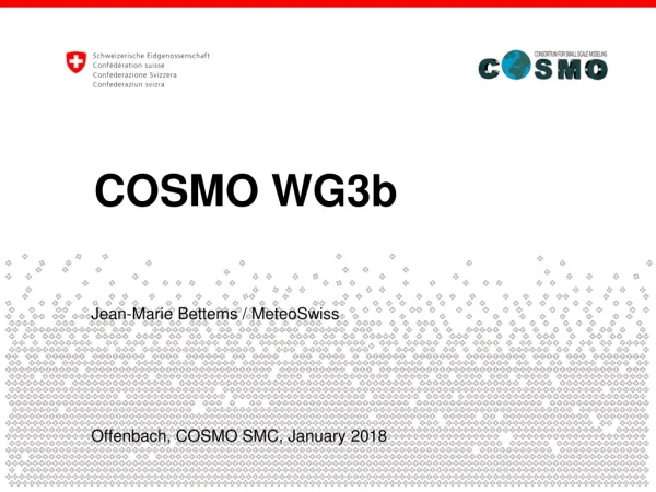 COSMO WG3b