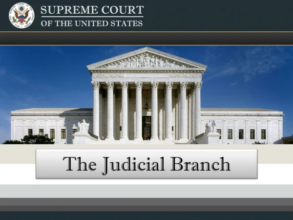 The Judicial Branch