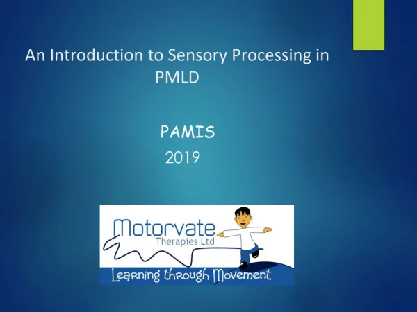 An Introduction to Sensory Processing in PMLD