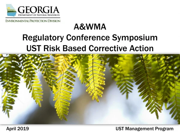 A&amp;WMA Regulatory Conference Symposium UST Risk Based Corrective Action