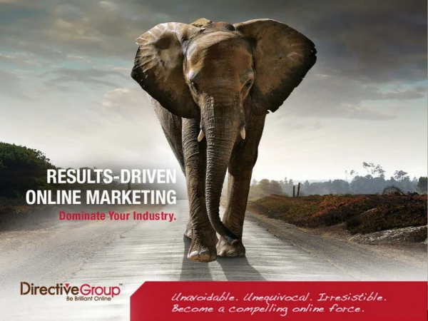 DIRECTIVEGROUP digital agency