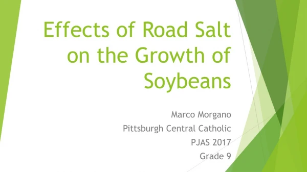 Effects of Road Salt on the Growth of Soybeans