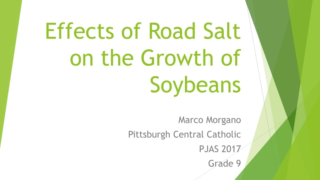 effects of road salt on the growth of soybeans