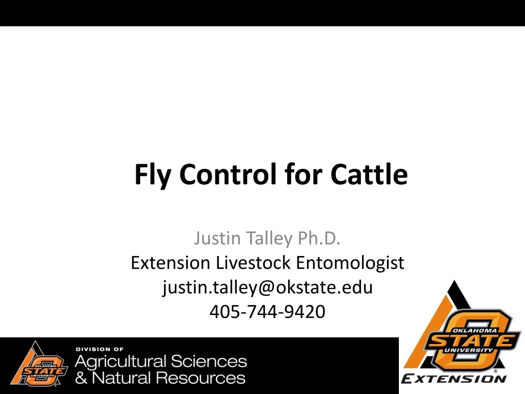 fly control for cattle