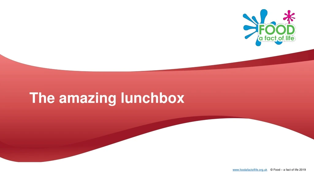 the amazing lunchbox
