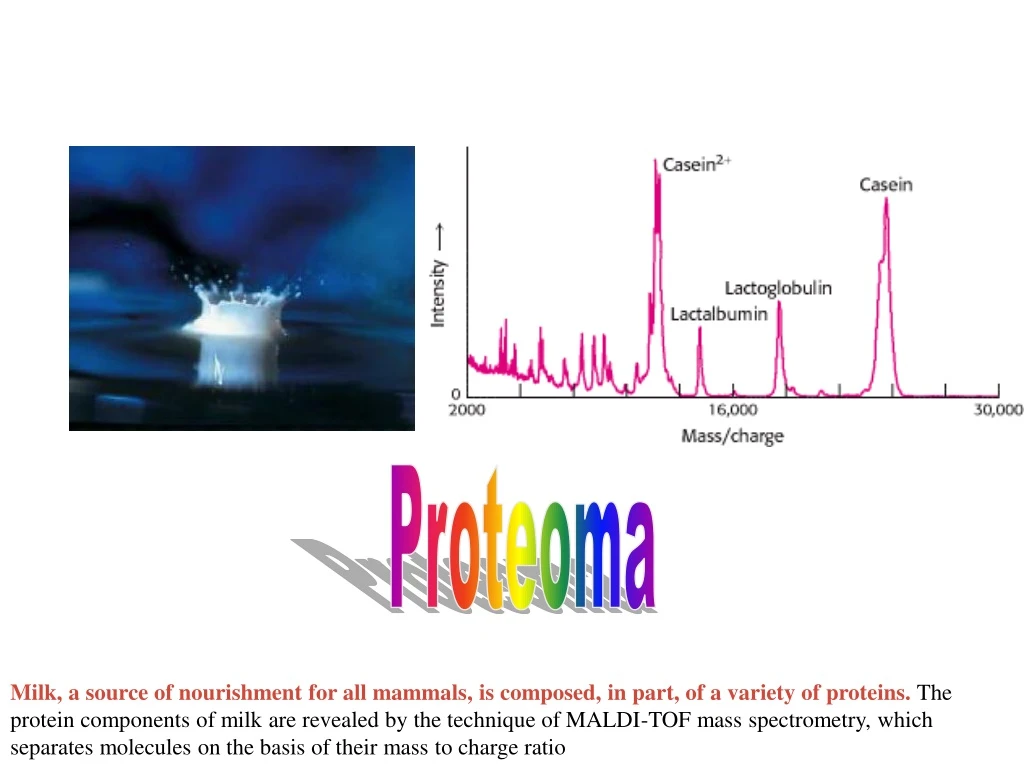 proteoma