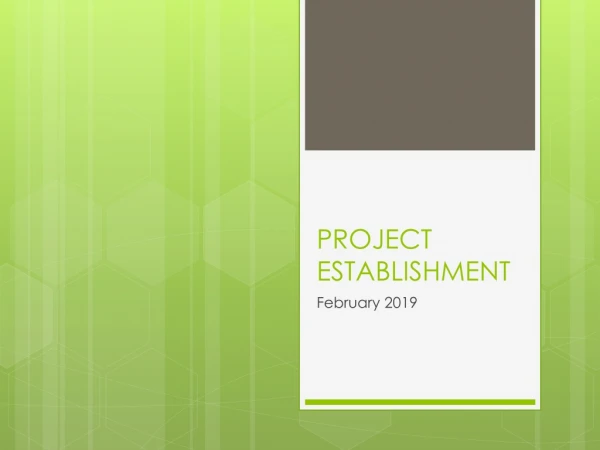 PROJECT ESTABLISHMENT