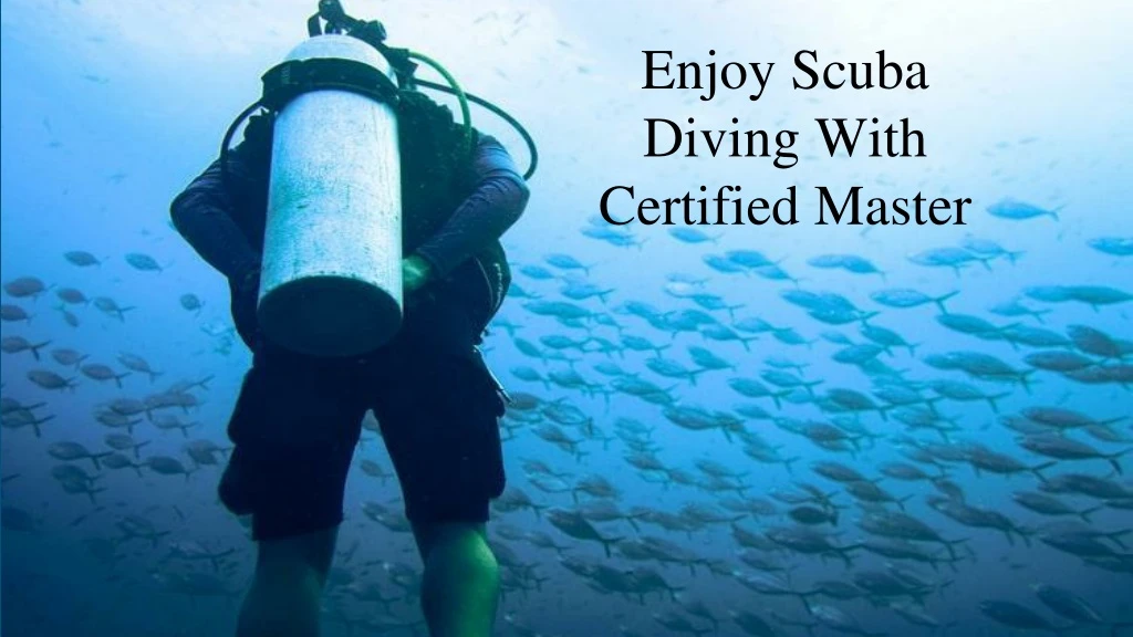 enjoy scuba diving with certified master