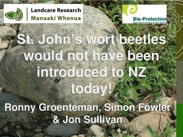 St. John’s wort beetles would not have been introduced to NZ today!