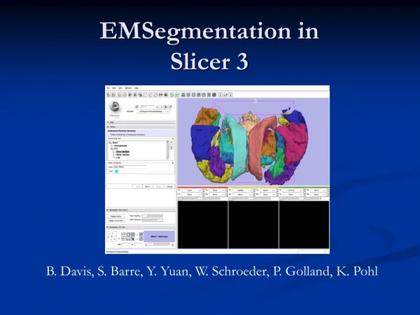 EMSegmentation in Slicer 3