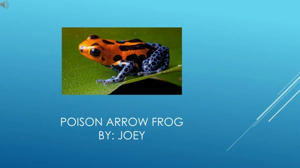 Poison Arrow Frog By: Joey