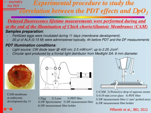 Experimental procedure to study the correlation between the PDT effects and D pO 2