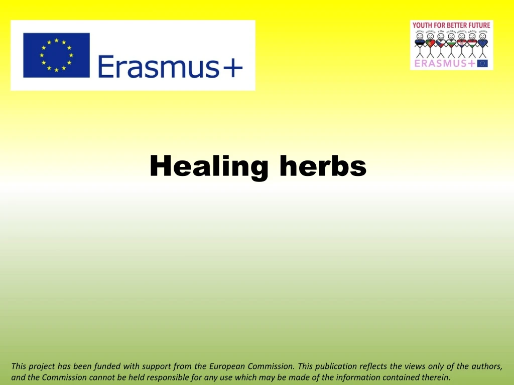 healing herbs