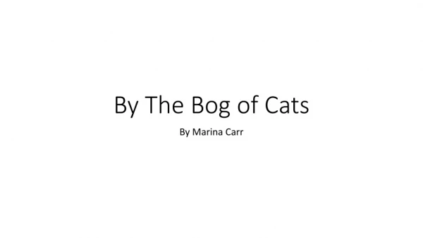 By The Bog of Cats