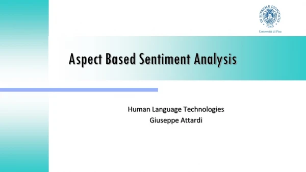 Aspect Based Sentiment Analysis