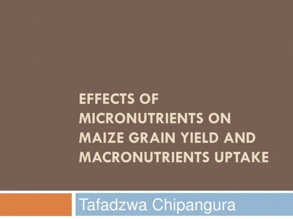 Effects of micronutrients on maize grain yield and macronutrients uptake