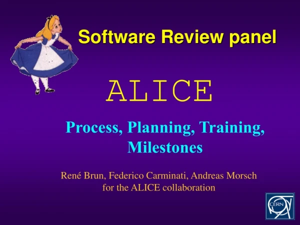 Software Review panel