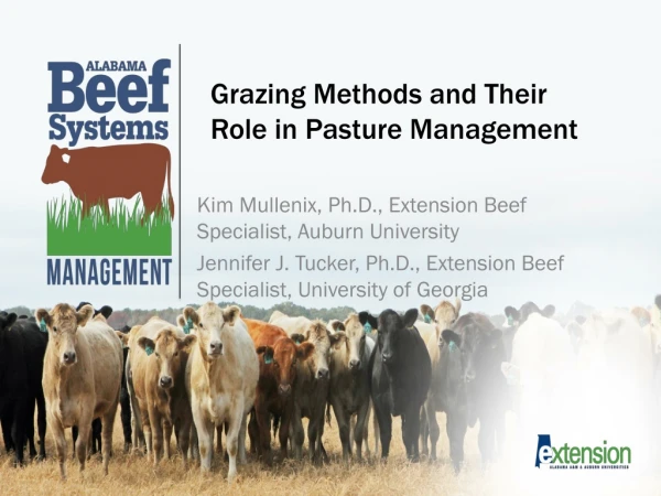 Grazing Methods and Their Role in Pasture Management