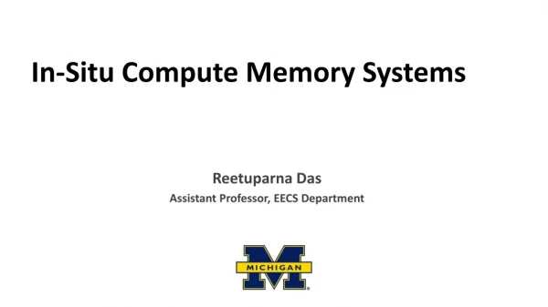 In-Situ Compute Memory Systems