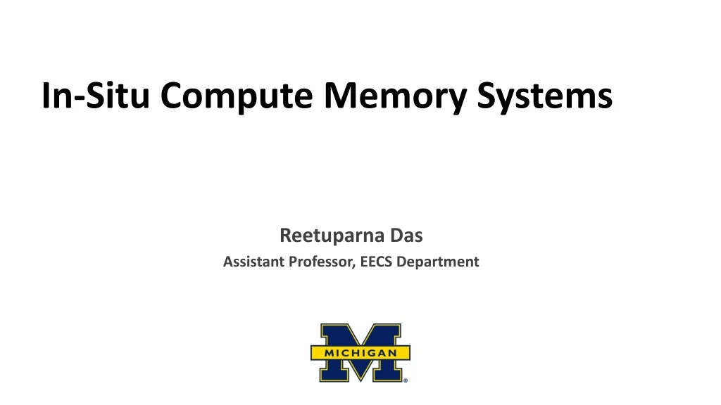 in situ compute memory systems