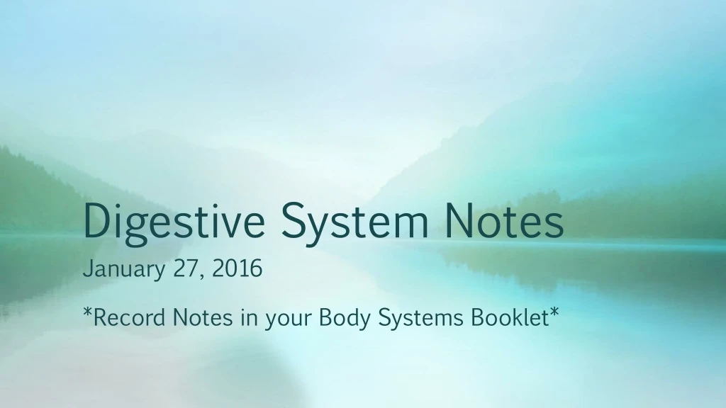 digestive system notes