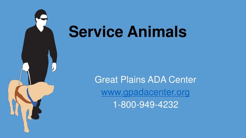 service animals