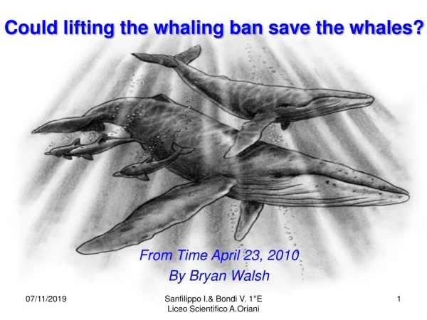 Could lifting the whaling ban save the whales?