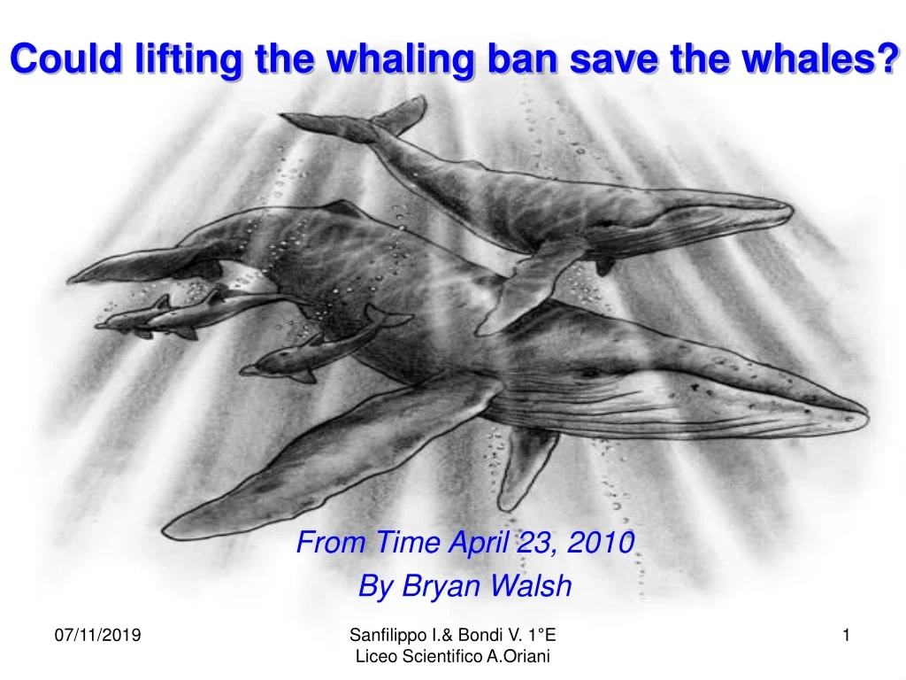 could lifting the whaling ban save the whales