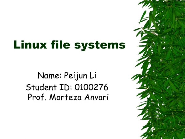 Linux file systems