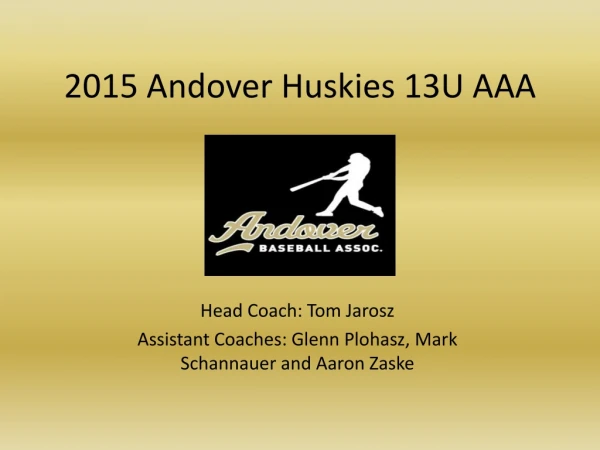 2015 Andover Huskies 13U AAA
