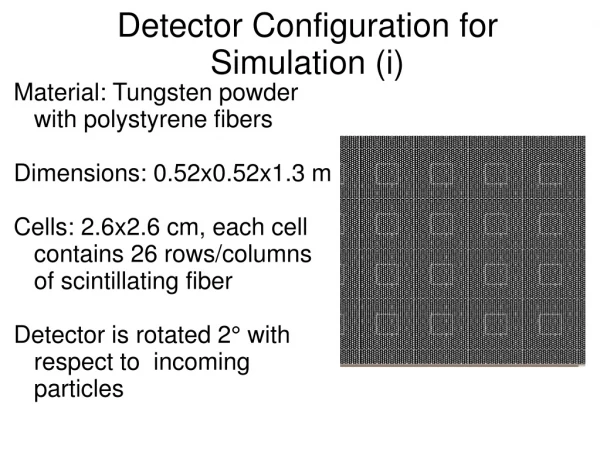 Detector Configuration for Simulation (i)