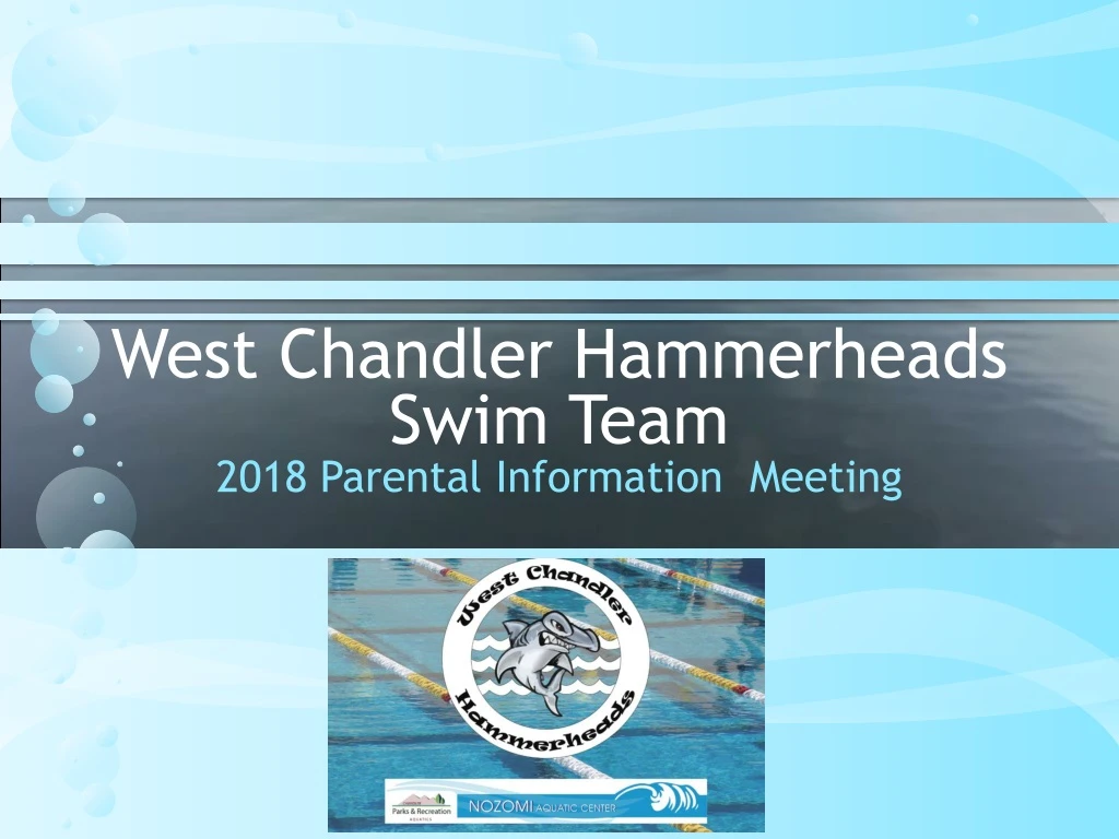 west chandler hammerheads swim team