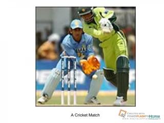 A Cricket Match