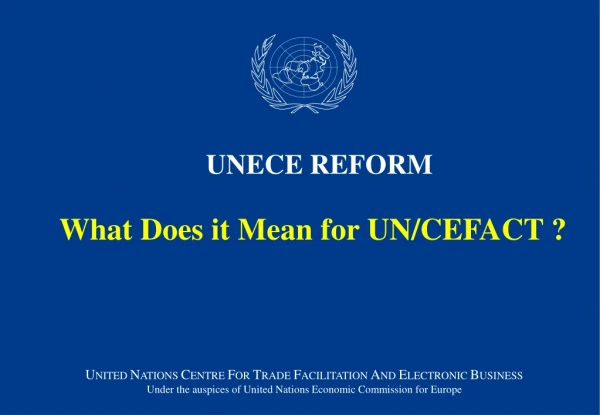 What Does it Mean for UN/CEFACT ?