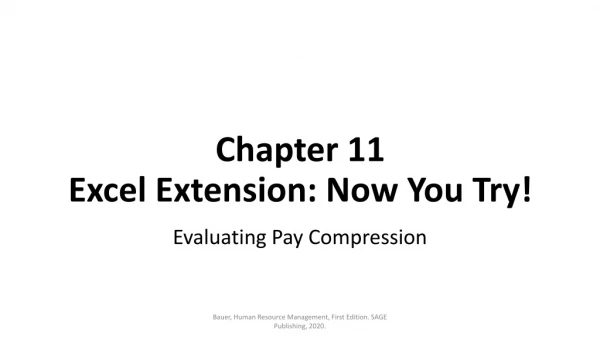 Chapter 11 Excel Extension: Now You Try!
