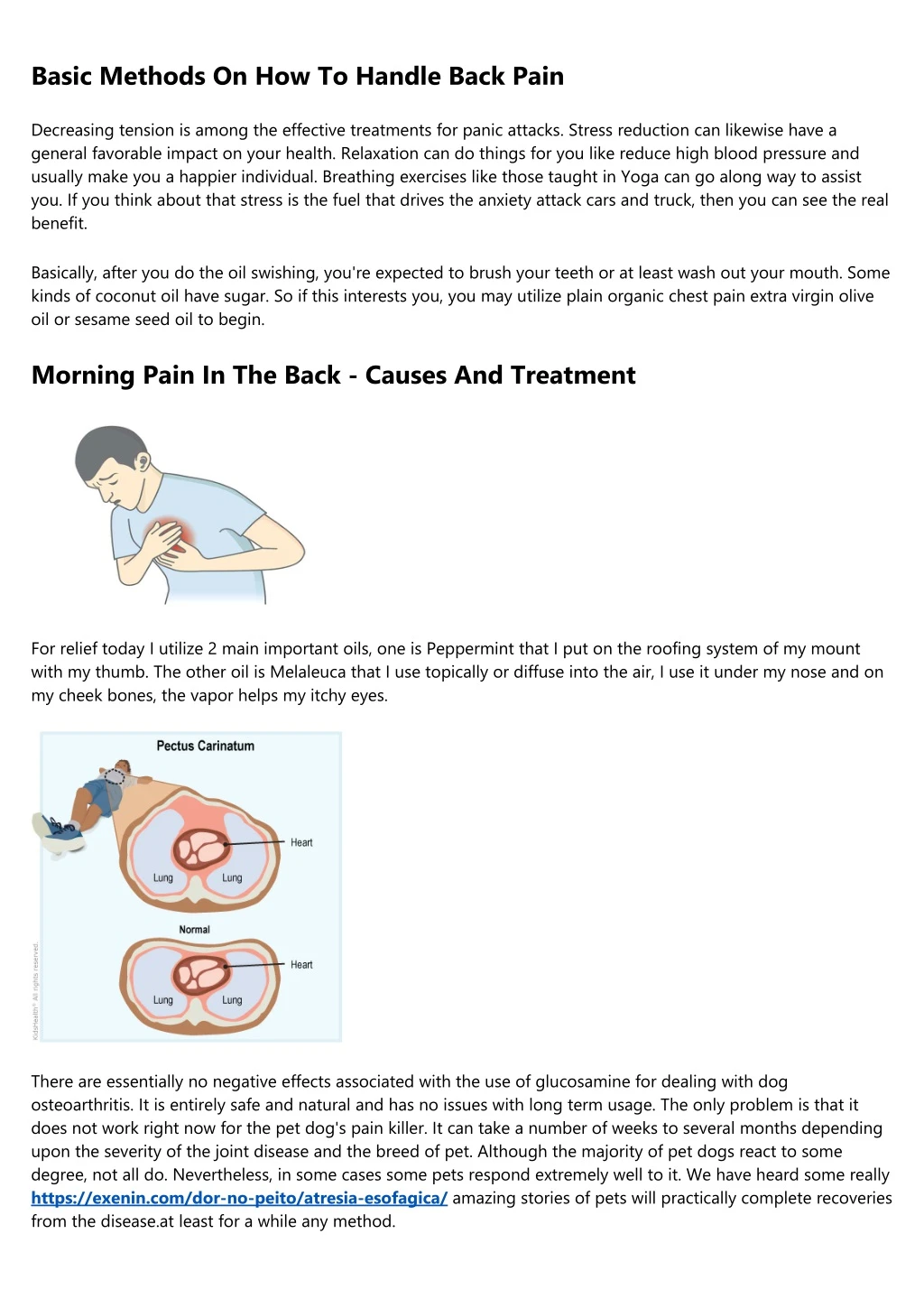 basic methods on how to handle back pain