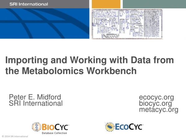 Importing and Working with Data from the Metabolomics Workbench