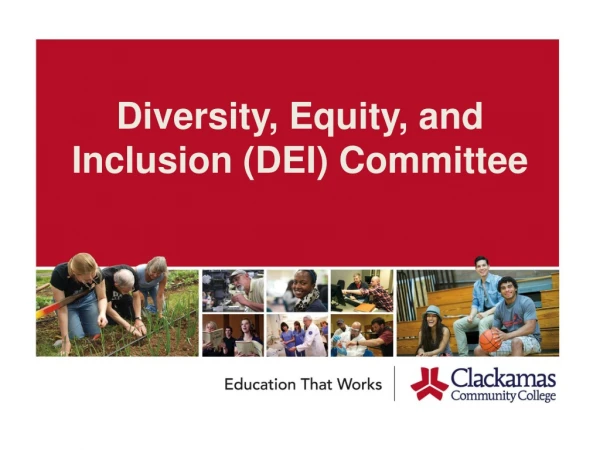 Diversity, Equity, and Inclusion (DEI) Committee