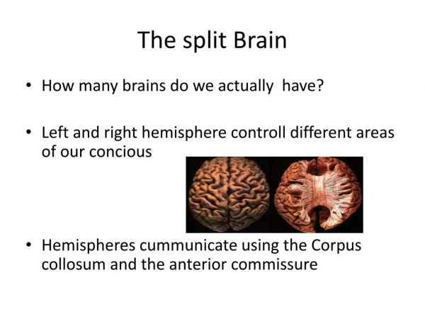 The split Brain
