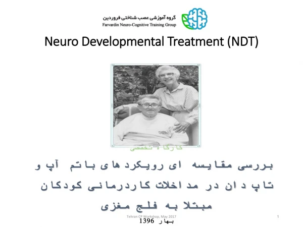 Neuro Developmental Treatment (NDT)