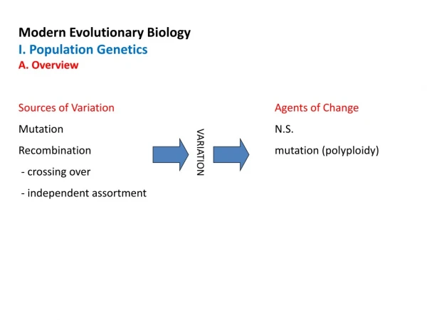 Modern Evolutionary Biology I. Population Genetics A. Overview