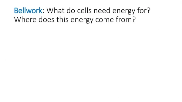 Bellwork : What do cells need energy for? Where does this energy come from?