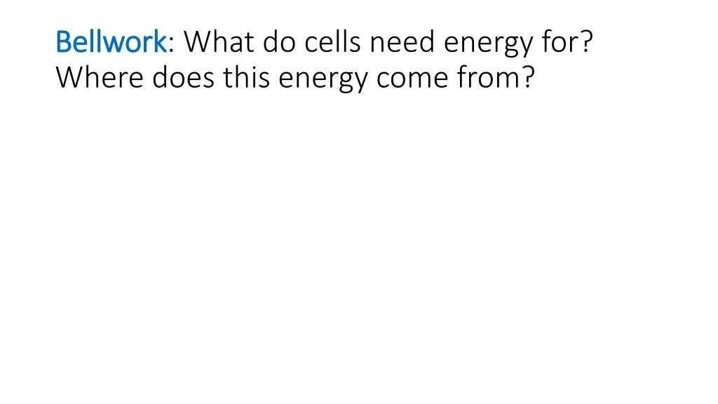 bellwork what do cells need energy for where does this energy come from