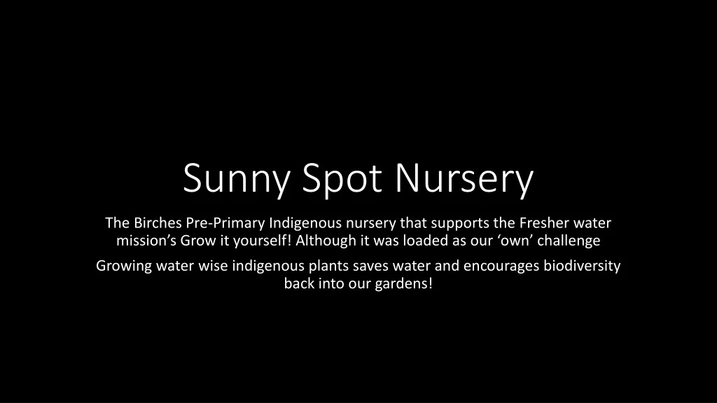 sunny spot nursery