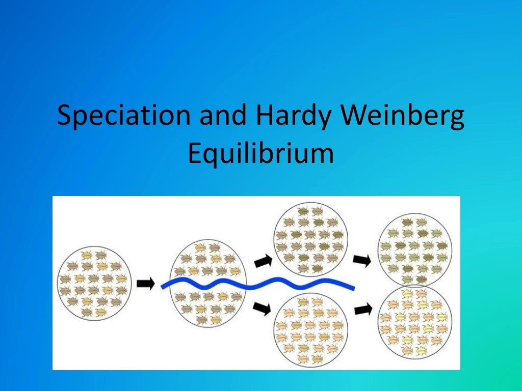 speciation and hardy weinberg equilibrium