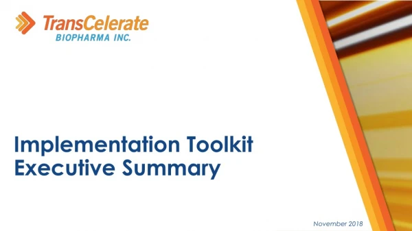 Implementation Toolkit Executive Summary