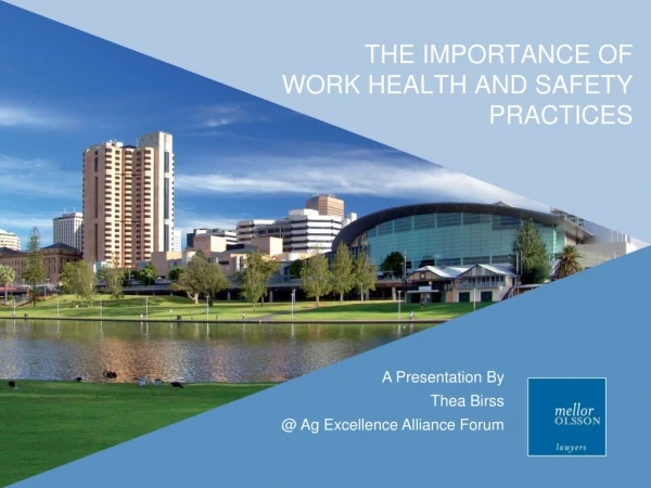 THE IMPORTANCE OF WORK HEALTH AND SAFETY PRACTICES